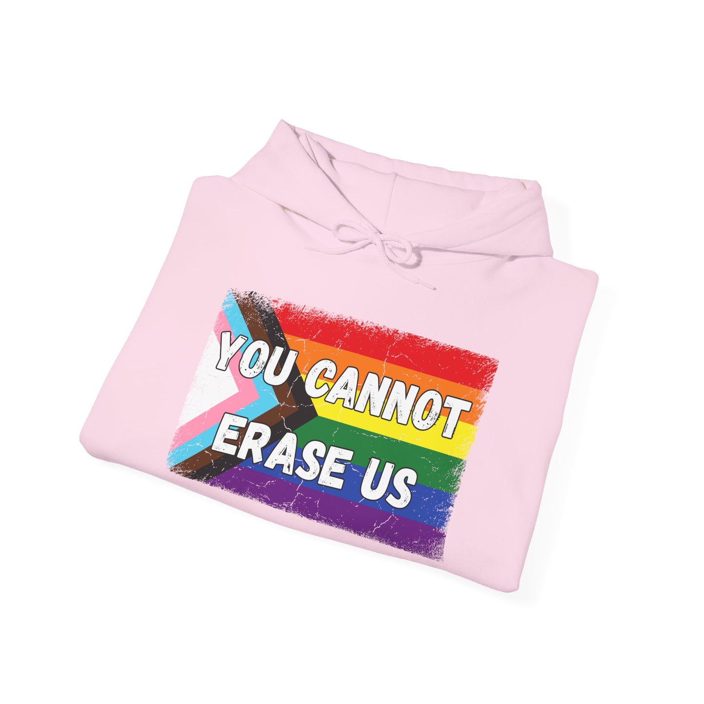 Pride Message Hoodie, LGBTQ+ Sweater, You Cannot Erase Us Sweatshirt, Unisex Hooded Sweatshirt, Inclusive Apparel