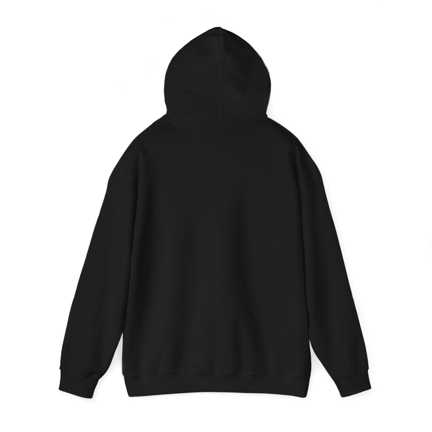 Funny QR Code Secret Message Hoodie