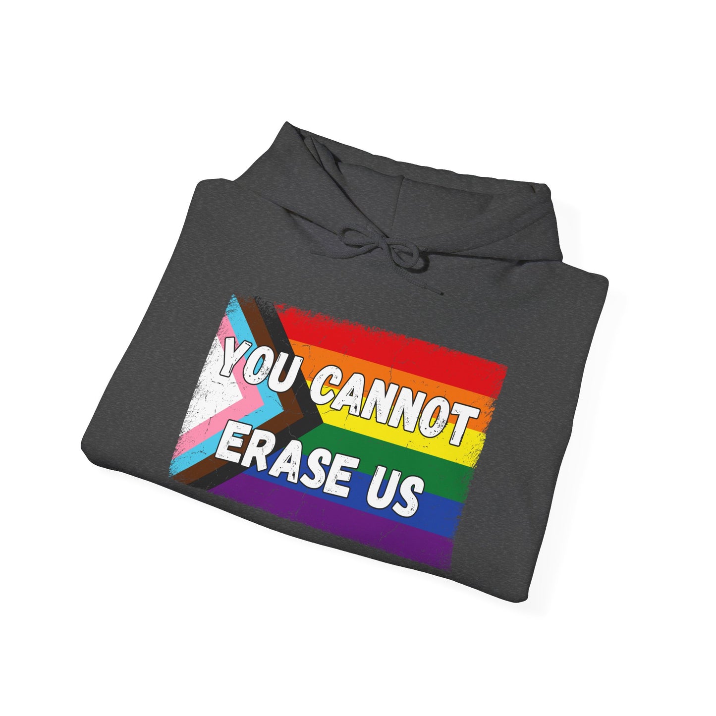 Pride Message Hoodie, LGBTQ+ Sweater, You Cannot Erase Us Sweatshirt, Unisex Hooded Sweatshirt, Inclusive Apparel