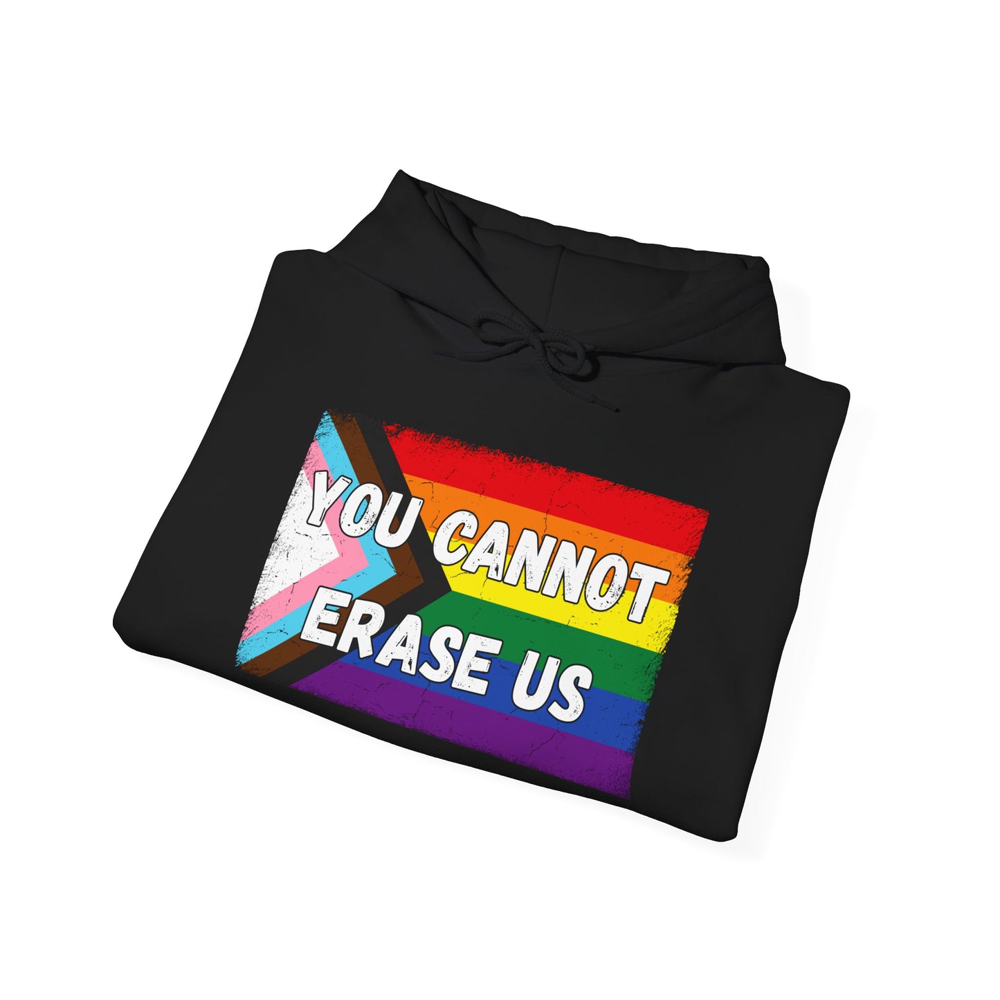 Pride Message Hoodie, LGBTQ+ Sweater, You Cannot Erase Us Sweatshirt, Unisex Hooded Sweatshirt, Inclusive Apparel