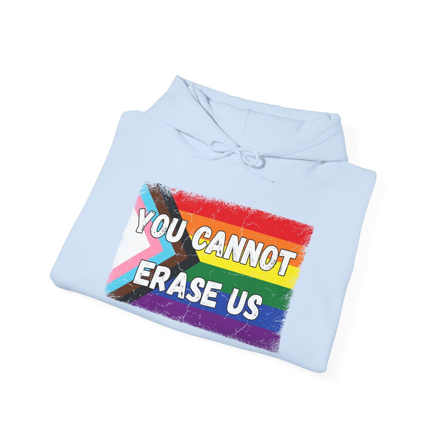 Pride Message Hoodie, LGBTQ+ Sweater, You Cannot Erase Us Sweatshirt, Unisex Hooded Sweatshirt, Inclusive Apparel