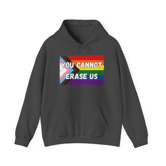 Pride Message Hoodie, LGBTQ+ Sweater, You Cannot Erase Us Sweatshirt, Unisex Hooded Sweatshirt, Inclusive Apparel