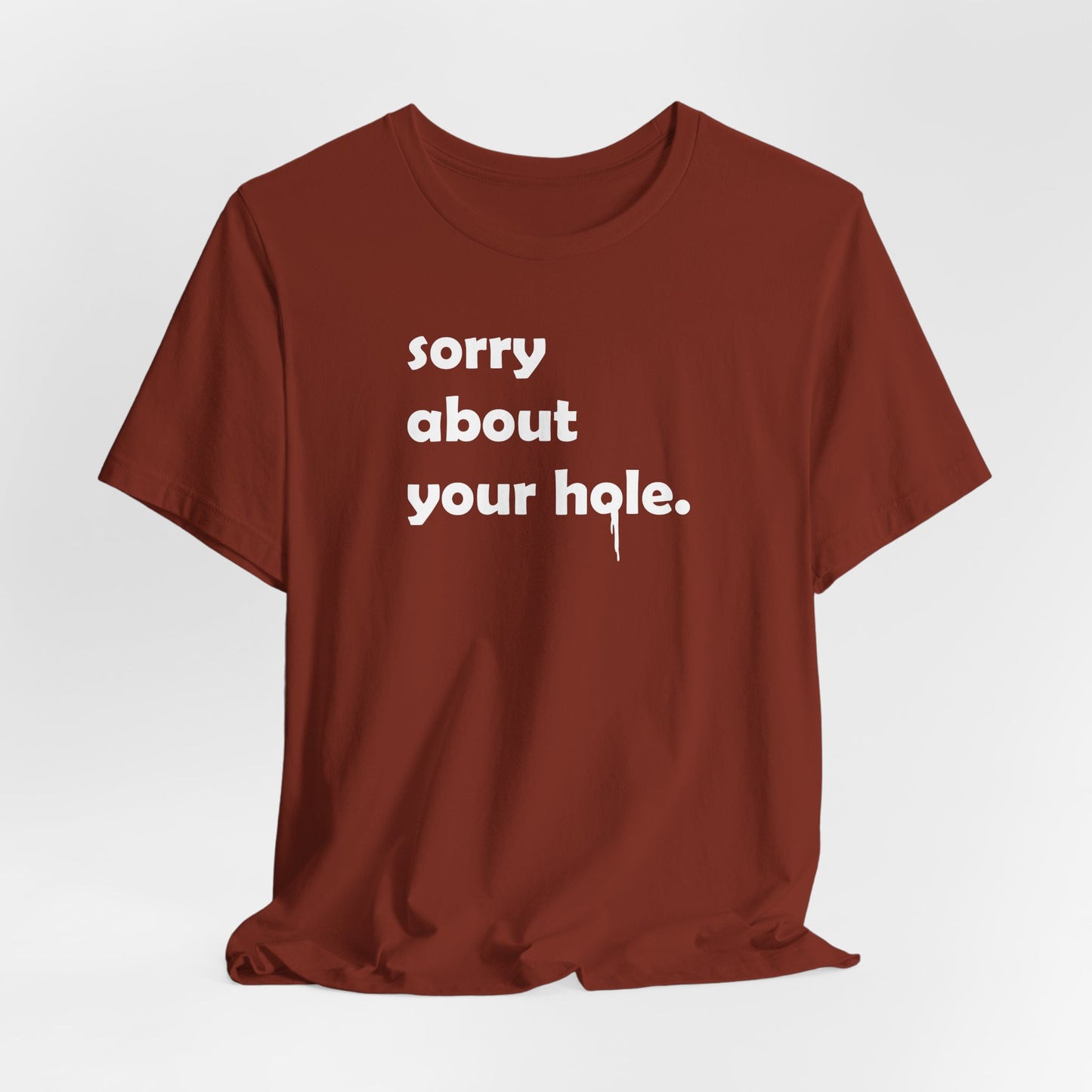Funny Adult Novelty T-Shirt, Sorry About Your Hole Sexy Tee, Inappropriate Humor Shirt, Raunchy Graphic Top, Offensive Gift Idea