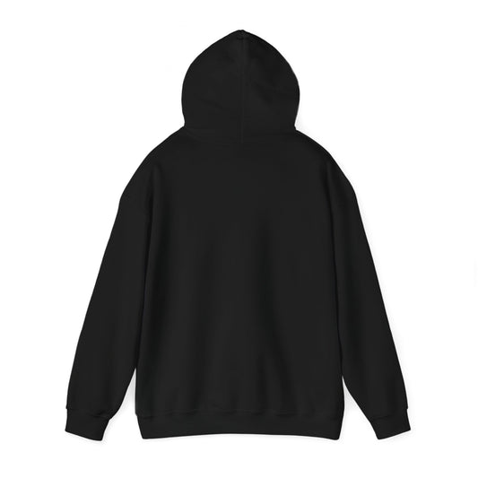 Funny QR Code Secret Message Hoodie