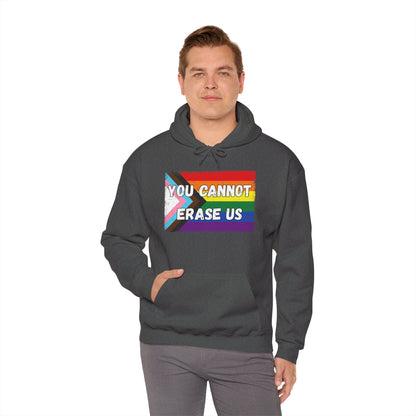 Pride Message Hoodie, LGBTQ+ Sweater, You Cannot Erase Us Sweatshirt, Unisex Hooded Sweatshirt, Inclusive Apparel