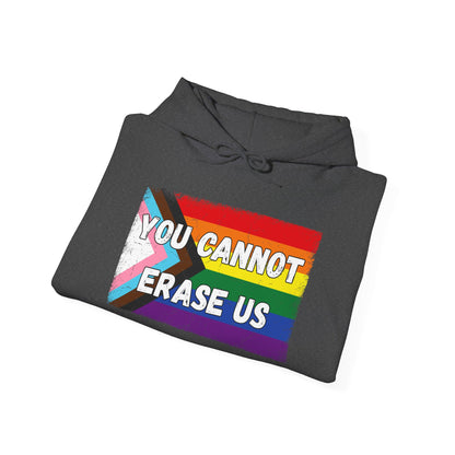 Pride Message Hoodie, LGBTQ+ Sweater, You Cannot Erase Us Sweatshirt, Unisex Hooded Sweatshirt, Inclusive Apparel