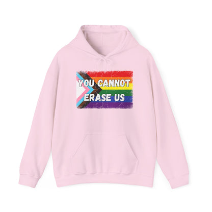 Pride Message Hoodie, LGBTQ+ Sweater, You Cannot Erase Us Sweatshirt, Unisex Hooded Sweatshirt, Inclusive Apparel