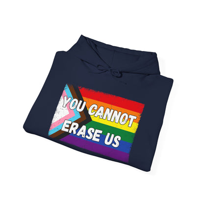 Pride Message Hoodie, LGBTQ+ Sweater, You Cannot Erase Us Sweatshirt, Unisex Hooded Sweatshirt, Inclusive Apparel