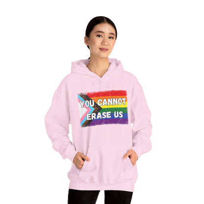 Pride Message Hoodie, LGBTQ+ Sweater, You Cannot Erase Us Sweatshirt, Unisex Hooded Sweatshirt, Inclusive Apparel